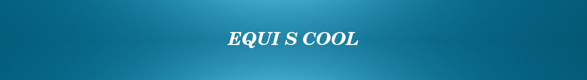 EQUI S COOL